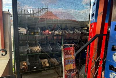 Spatiu comercial cu potential extraordinar - 12