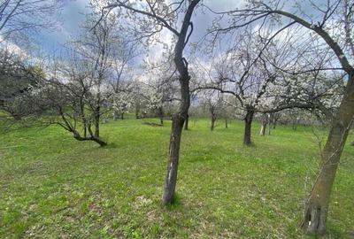 Spațiu comercial, în Pietriceaua - 8