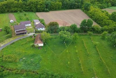 Casă cu 3 camere cu Teren 3760 Mp în Arieșu de Pădure - 2