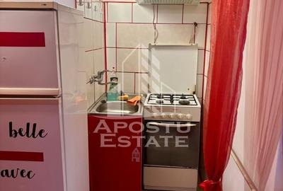 Apartament cu 3 camere semidecomandat, mobilat în Aradului - 13