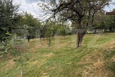 Casă cu 4 camere cu Teren 4800 Mp în Central - 4