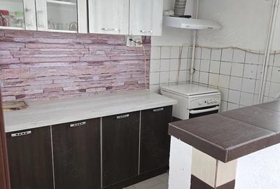 Apartament cu 2 camere decomandat în Remetea Mare - 7