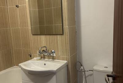 Garsonieră semidecomandată în Valea Rosie - 1