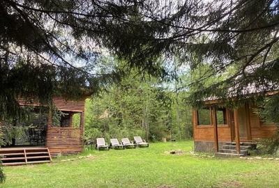 Casă cu 4 camere cu Teren 1365 Mp în Borzont - 1