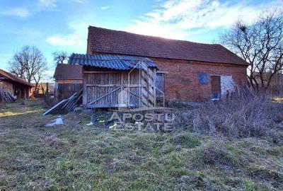 Casa de caramida in Tela si Teren Generos de 4320 mp - 10
