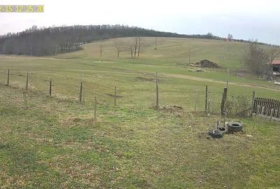 Casă cu 3 camere în Ardud - 3