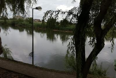 Proprietar /Corbeanca/ VILĂ  LÂNGĂ PARADISUL VERDE – 380 MP , CURTE 1.019 MP, Proprietar /Corbeanca/ VILĂ  LÂNGĂ PARADISUL VERDE – 380 MP , CURTE 1.019 MP, - 9