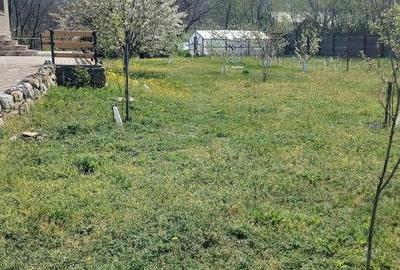 Casă cu Teren 2800 Mp în Aldeni - 5