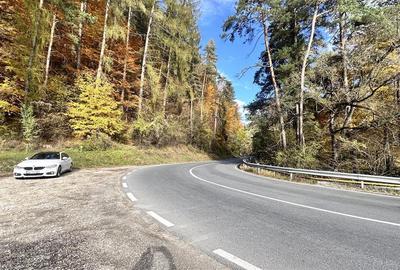 Teren Construcții intravilan de 4000 mp, în Brădet - 12