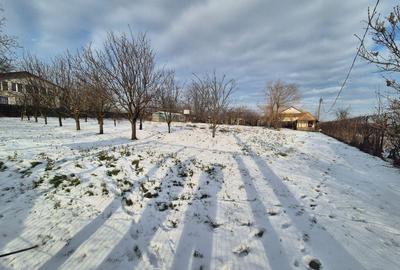 Teren 2000 mp DN2 Lilieci 25Euro/mp langa Bucuresti - 7