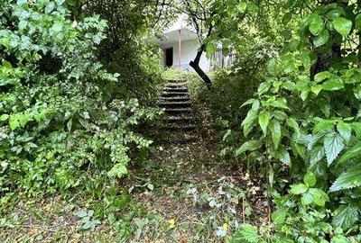 Teren de 1000 mp, în Provița de Jos - 2