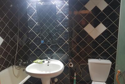 Apartament trei camere decomandat, mobilat, etaj unu, doua balcoane, Alecsandri - 11