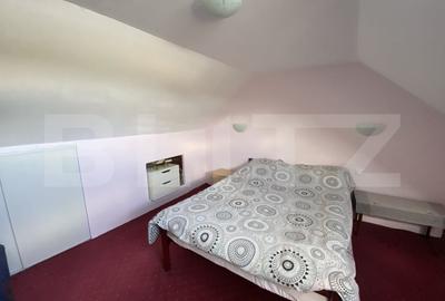 Casa familiala, suprafata de 133 mp, cu gradina de 4700 mp - 16