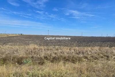 Teren extravilan cu poten?ial de dezvoltare, la sosea DN6 - 4