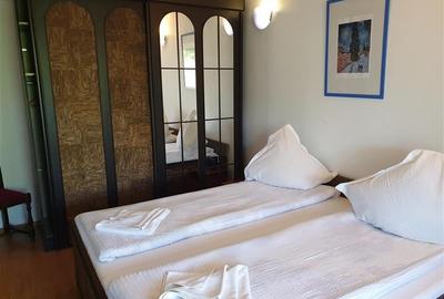 Pensiune incadrata de 2.350 teren, Bran - Fundata, Brasov - 4