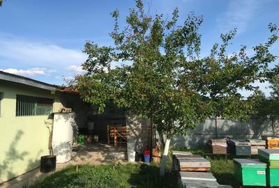 Spațiu comercial, în Ion Creangă - 5