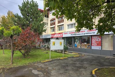 Spatiu Comercial Otopeni la Dn1, trafic pietonal si auto - 2