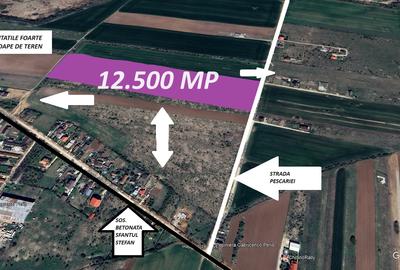 Teren Construcții intravilan de 12500 mp, în Periș