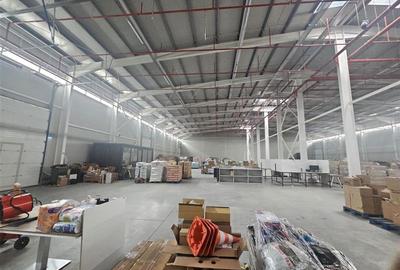 Spațiu industrial, de 1,000 mp, în 23 August (Cațelul) - 2