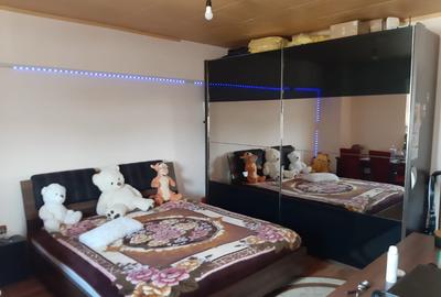 Garsoniera Calea Calarasilor/Viziru - 5