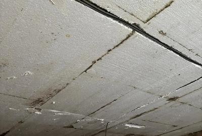 Casa la rosu cu utilitati si teren generos - 9