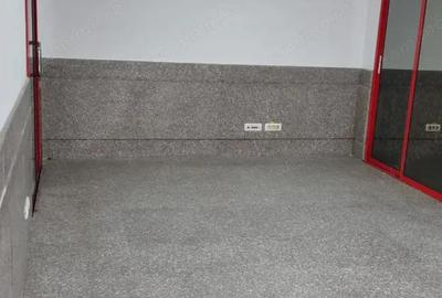 Zona Piata Gorjului sp 65 mp trafic intens - 4