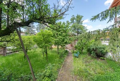 Casa deosebita, teren 749mp, locuinta sau sediu business - 10