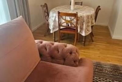 Duplex cu 5 camere cu Teren 175 Mp în Central - 5