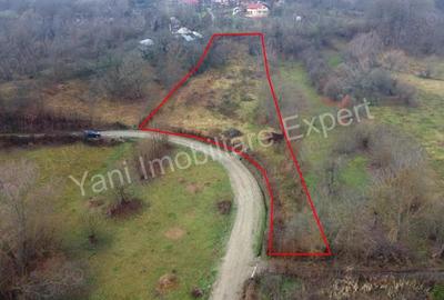 Teren de 3357 mp, în Bădila - 4
