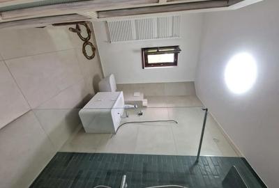 Spațiu comercial, de 230 mp, în Simion Bărnuțiu - 6
