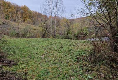 Teren de 2300 mp, în Vâlcănești - 4