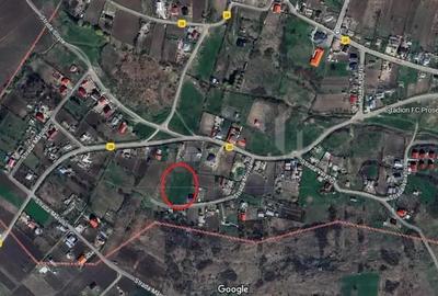 Proselnici Miroslava teren 3893mp intravilan curent electric si apa curenta - 7