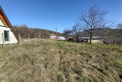 Teren Construcții intravilan de 2500 mp, în Vest - 15