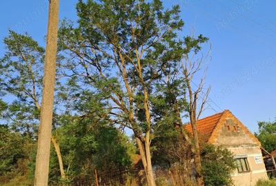Teren de 4591 mp, în Crivobara - 2