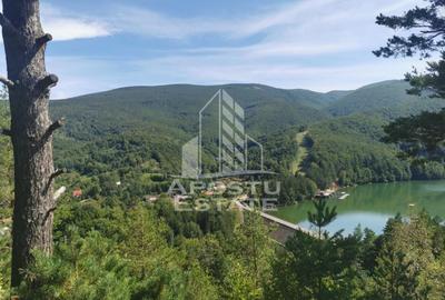 Teren Construcții intravilan de 2000 mp, în Văliug - 6