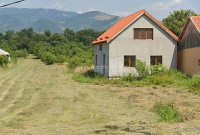 Sadova Veche, Casa la Sosea, cu Teren 3251Mp - 8