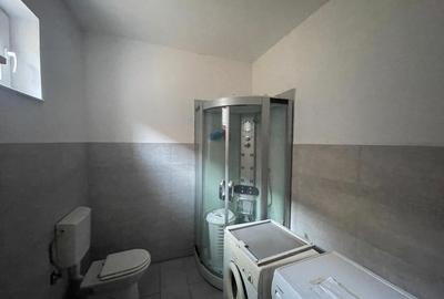 Casa impunatoare D+P+1 cu 709 mp teren si toate utilitatile in Balta Verde - 11