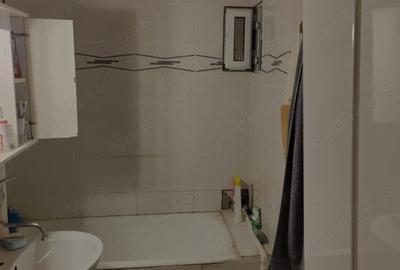 Zona Timocului-Piata Badea Cirtan...1 Camera..decomandat - 4