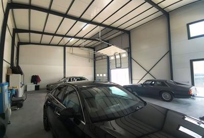 Spațiu industrial, de 158 mp, în Exterior Vest - 5