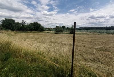 Teren Construcții intravilan de 2750 mp, în Podu Oltului - 5