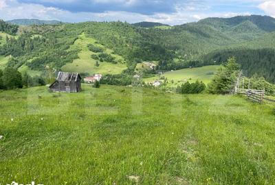 Teren de 20000 mp, în Central - 8