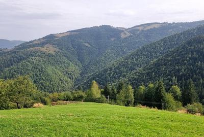 Vand teren la munte pentru cabana - 5