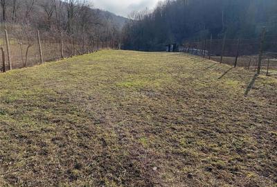 Ciclova, Casa 10 Incaperi, pt 2 Familii, 1439mp Teren Ciclova, Casa 10 Incaperi, pt 2 Familii, 1439mp Teren - 8