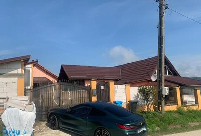 Vand doua case in aceeasi curte, in sat Dudesti, com. Luncoiu de Jos, - 21