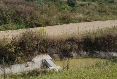 Teren agricol extravilan de 41000 mp, în Nord-Est - 5