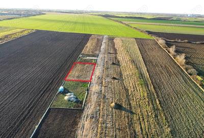 Teren intravilan 743 mp la intrarea in Odoreu - 6