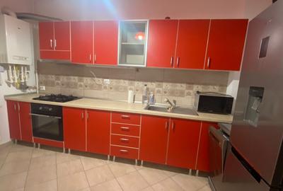 Popesti Leordeni Drumul Fermei mobilat utilat - 3