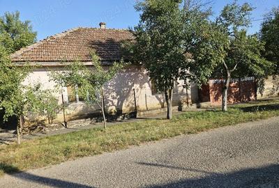 Vand teren + casa si anexa in Vladimirescu, jud. Arad - 3