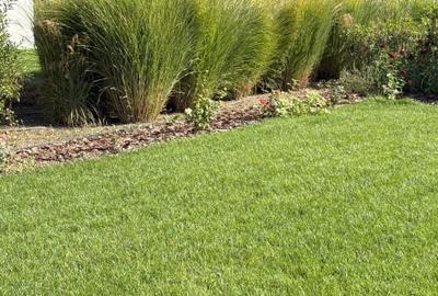 Casa Ark – 5 camere, moderna, Dumbrava Vlasiei - 6