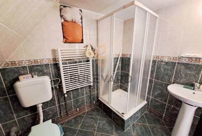 Casă individuală cu 5 camere cu Canalizare în Muntele Băișorii - 19